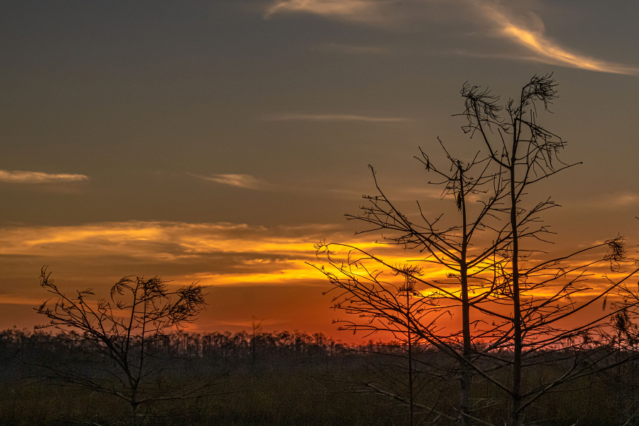 Amanecer