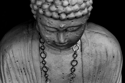 Buddha With Circles