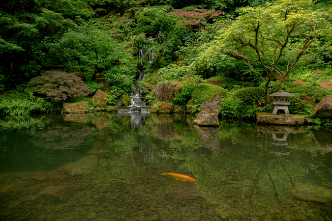 Peace at the Japanese Garden