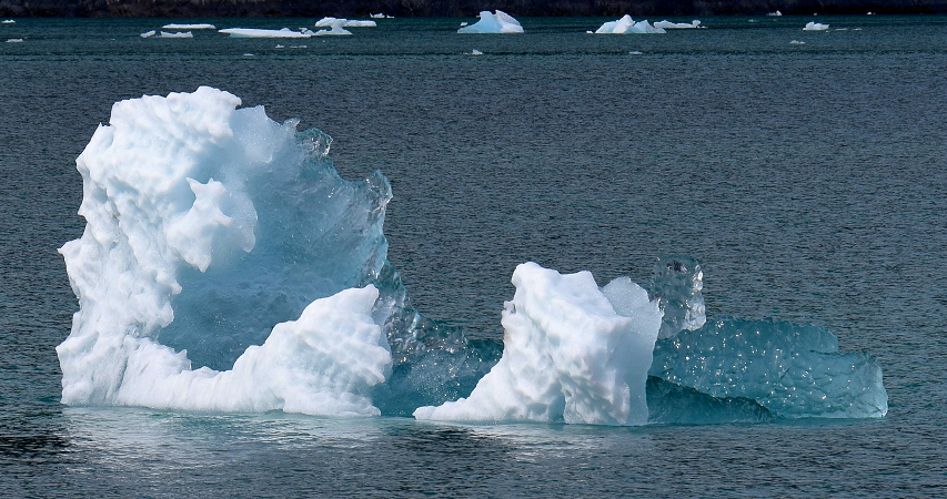 Sparly Iceberg Bits