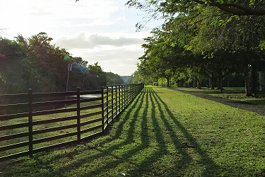 The Park Fence