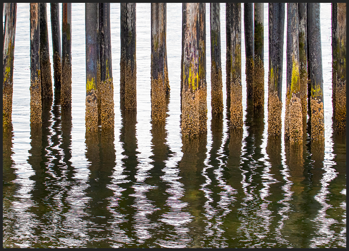 Pier Reflections