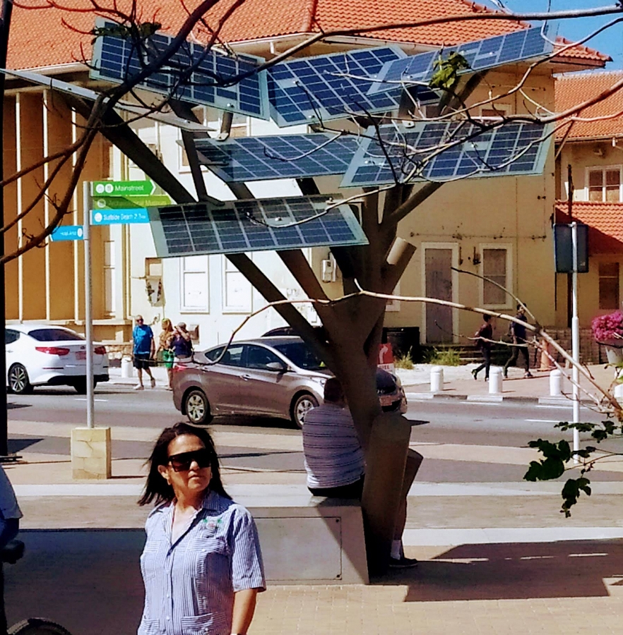 A Solar Tree