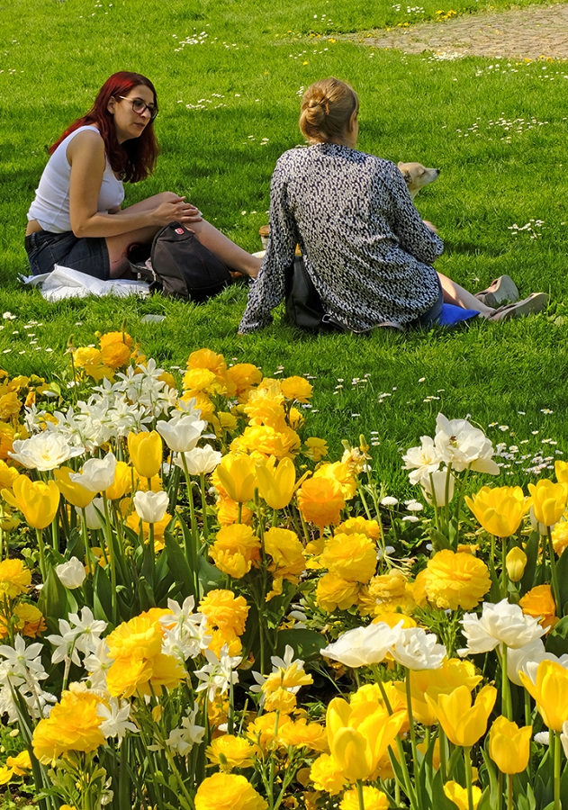 Springtime in a Munich Park