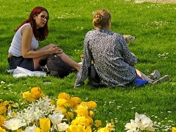 Springtime in a Munich Park